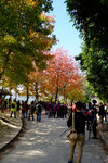 Tai Tong2015_154