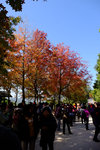 Tai Tong2015_155