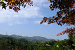 Tai Tong2015_160