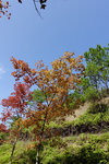 Tai Tong2015_169