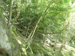 The_Peak_26