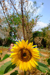 201504_lfsz_027