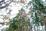 201504_lfsz_030