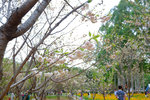 201504_lfsz_031