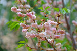 201504_lfsz_034