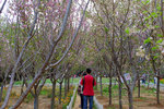 201504_lfsz_036