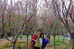 201504_lfsz_037