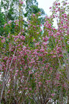 201504_lfsz_039