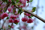 201504_lfsz_041