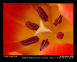 DSC_1928okf