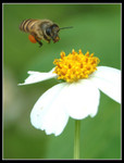 Bee57194a