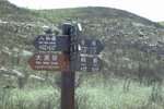 1-5-2009 八仙過海 154