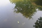 31-1-2006 ????? 035