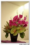 8-7-2007 翠嫻 花之祭 003 resize a