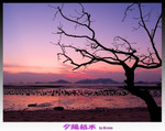 木
