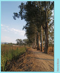 L6