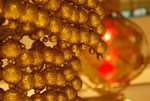 DSC00200