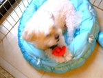 DSCF0117