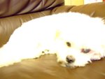 DSCF0138