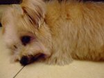 DSCF0140