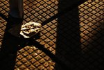 DSC04853a