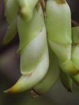 KS073558