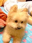 DSCF0223