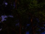 DSCF0676