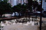 48420026