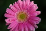 DSC01236