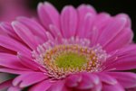 DSC01237