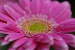 DSC01238
