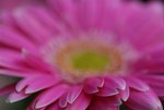 DSC01239