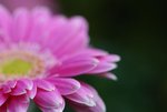 DSC01240