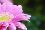 DSC01241
