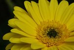 DSC01247