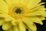 DSC01250