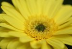 DSC01251