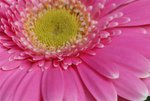 DSC01254
