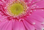 DSC01256