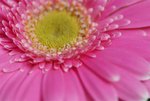 DSC01257