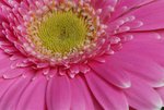 DSC01258