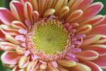 DSC01259