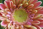 DSC01261