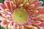 DSC01262