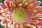 DSC01263
