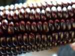 DSCF0144