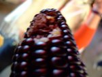 DSCF0145