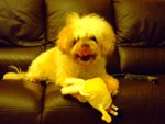 DSCF0193