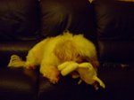 DSCF0194